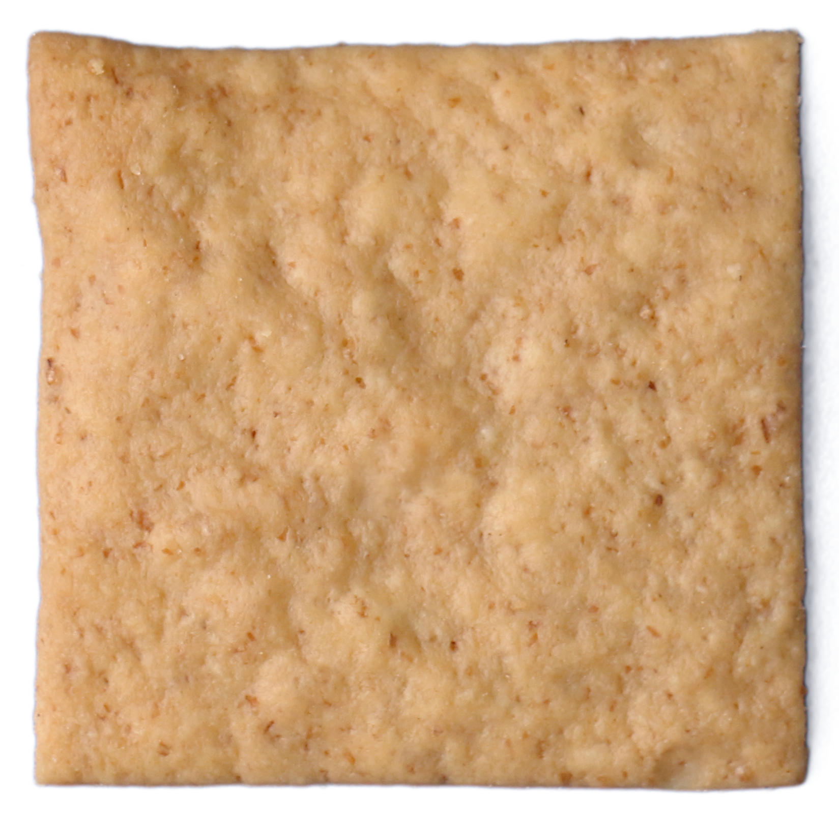 Sea salt sourdough cracker by Carbs Sourdough Bakery
